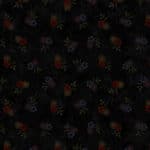 Primitive Traditions R171005-0112 Black