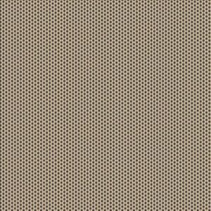 Colorful Coordinates & Stashing Stripes R171460D-Taupe Geo