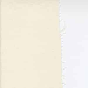 Prairie Gatherings Flannels F1040-79 Porcelain