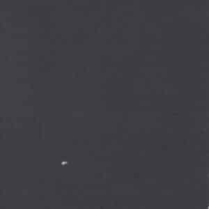 Prairie Gatherings Flannels F1040-81 Indigo