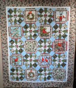 Winter Wings - Snowbirds Quilt Kit