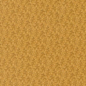 Pamelias Path 47557-16 Cheddar
