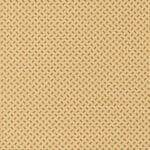 Pamelias Path 47559-12 Cheddar