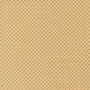 Pamelias Path 47559-12 Cheddar