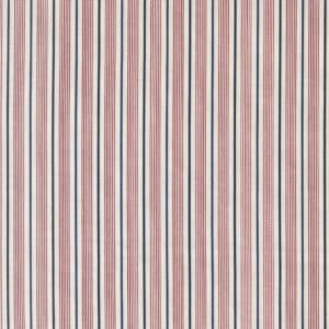 American Gatherings III 49321-11 Cloud