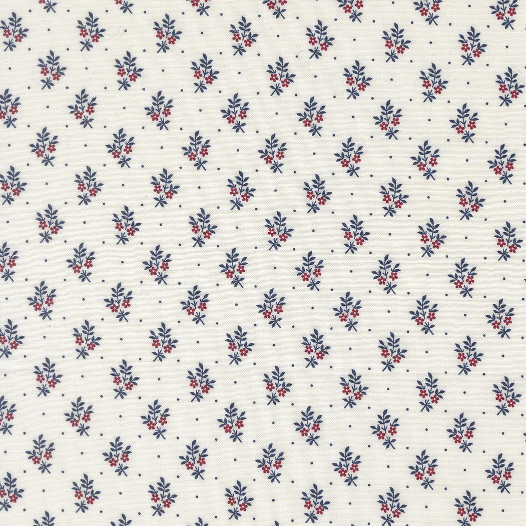 American Gatherings III 49327-11 Cloud