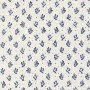 American Gatherings III 49327-24 Cloud Nautical