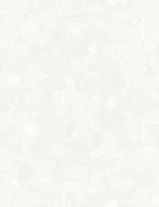 Quilt Minnesota 2026 Digital Snowflakes Y4890-1 White